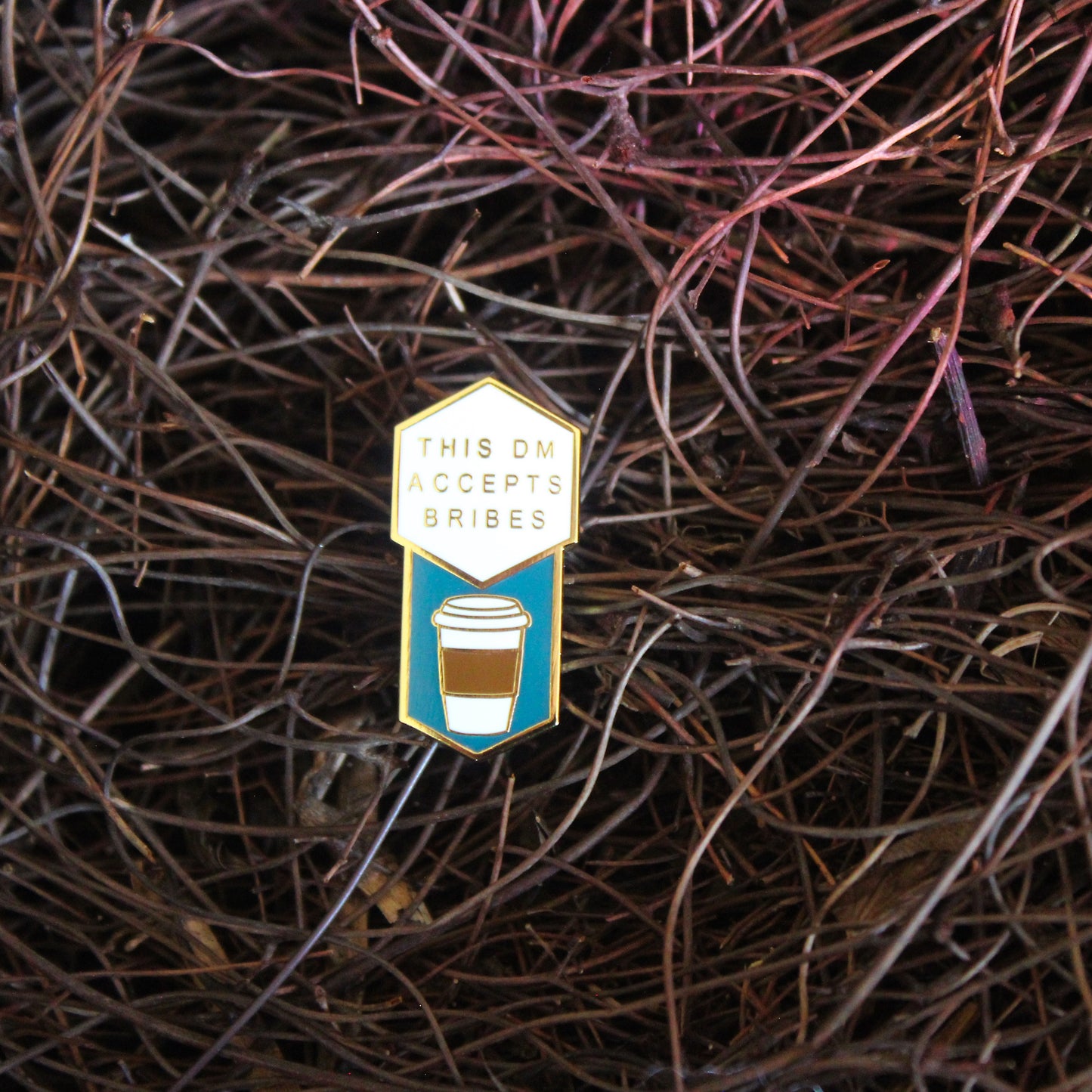 'This DM Accepts Bribes' D&D Enamel Pin