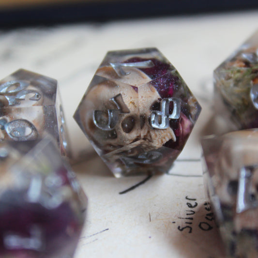 Vampire Skull Dice Set