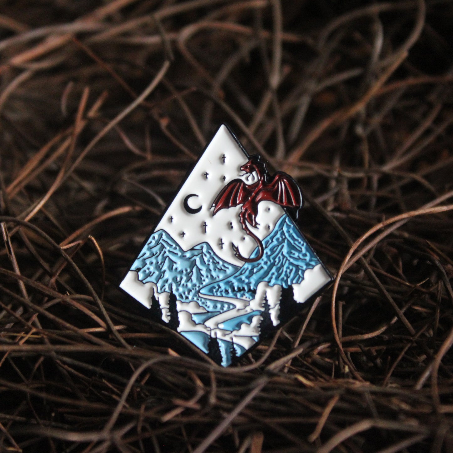 D&D Enamel Pin