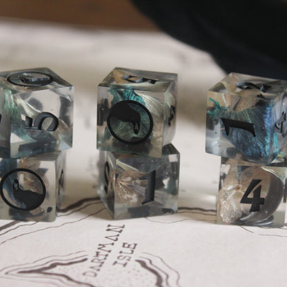 6 Piece Six-sided Dice Set