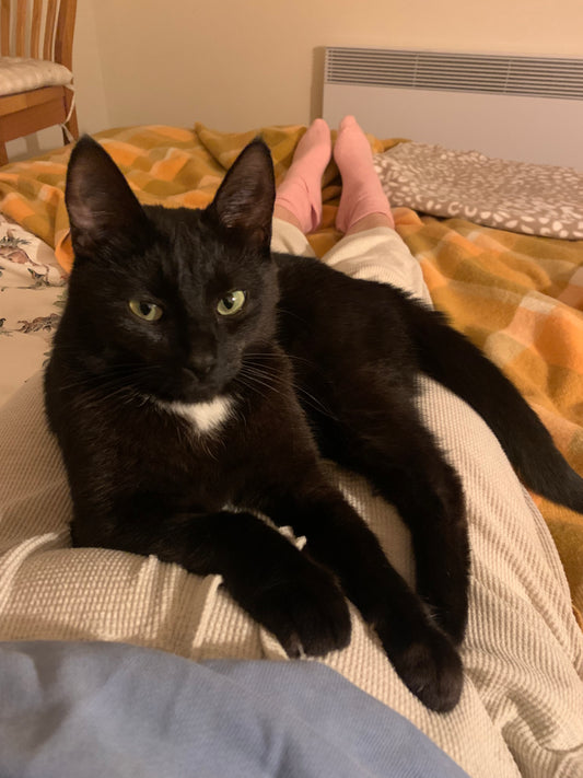 Hexe the Cat Metal Bookmark with Dice